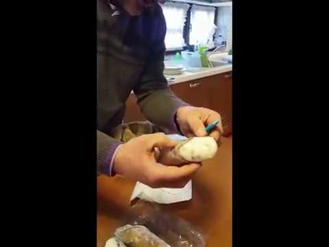 Vidéo Unboxing – Daniela et Stefano, les cannolis siciliens en Vénétie !